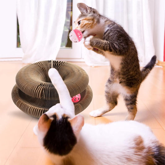 Foldable Cat Scratching Donut | Paper Corrugated Play Tunnel with Jingle Ball